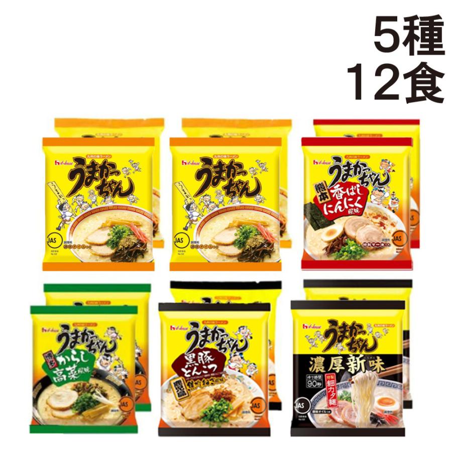 うまかっちゃん ハウス食品 食べ比べ 5種 合計12食 詰め合わせ