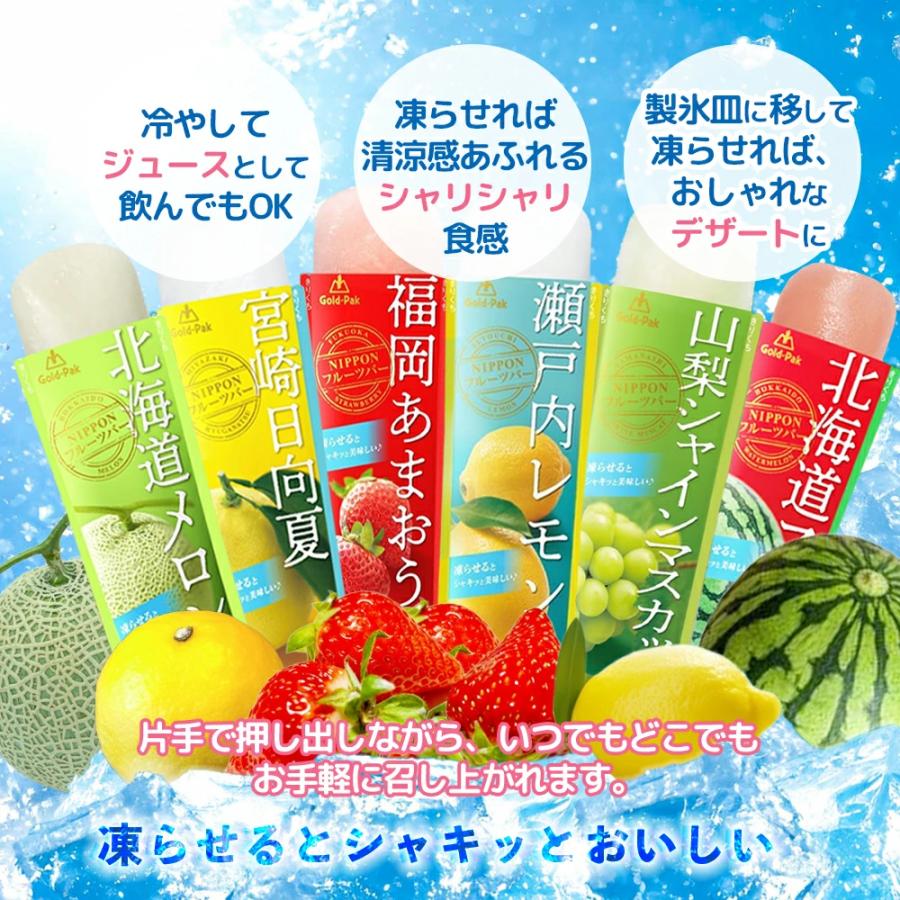 ゴールドパック 凍らせておいしい NIPPON フルーツバー 詰め合わせ