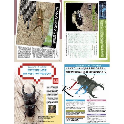 激安超特価 Be Kuwa 号 世界のホソアカクワガタ大特集 同梱 送料無料 ネコポス便送料別 Heartlandgolfpark Com