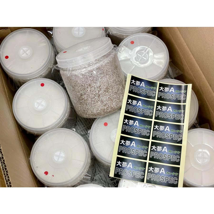 大夢A カンタケ（クヌギ100％）PET1400菌糸ボトル 】居食いで体重をの