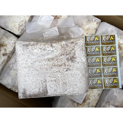 カワラタケ　2kg カワラタケ菌糸 | KPW公式オンラインショップ
