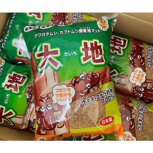 クヌギ　カブトムシ　クワガタ用 スジブトヒラタクワガタ（徳之島）59ミリペア販売/クワガタ工房 虫吉