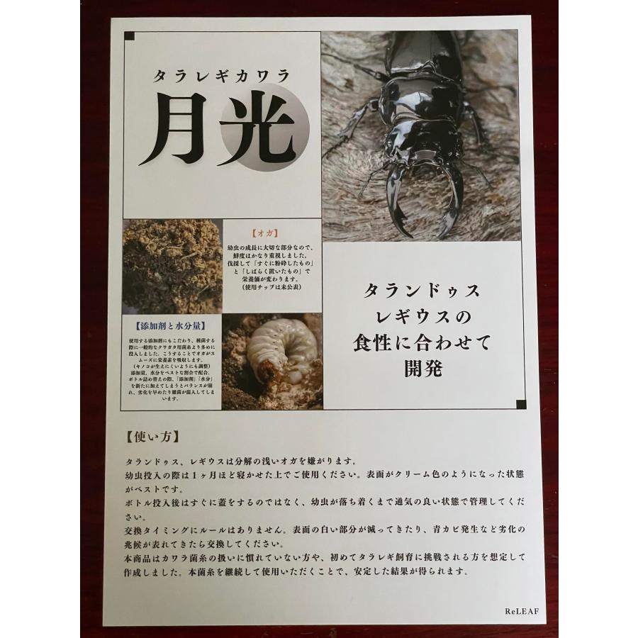 菌糸ブロック【 ReLEAF タラレギカワラ月光 】タランドゥス 菌糸ブロック【 ReLEAF タラレギカワラ月光 】タランドゥス