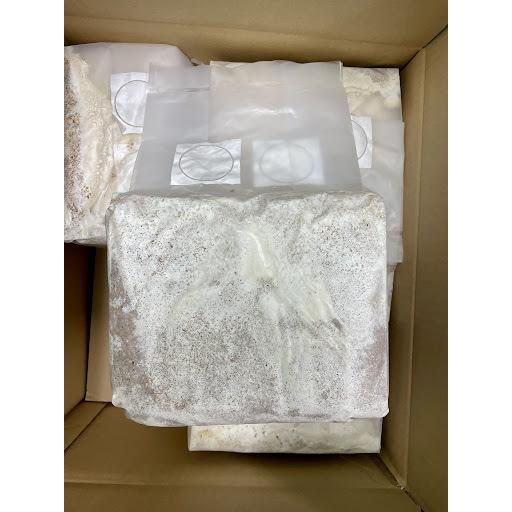 神長きのこ園のグリードSL 6個 神長きのこ園 グリードSL ブロック