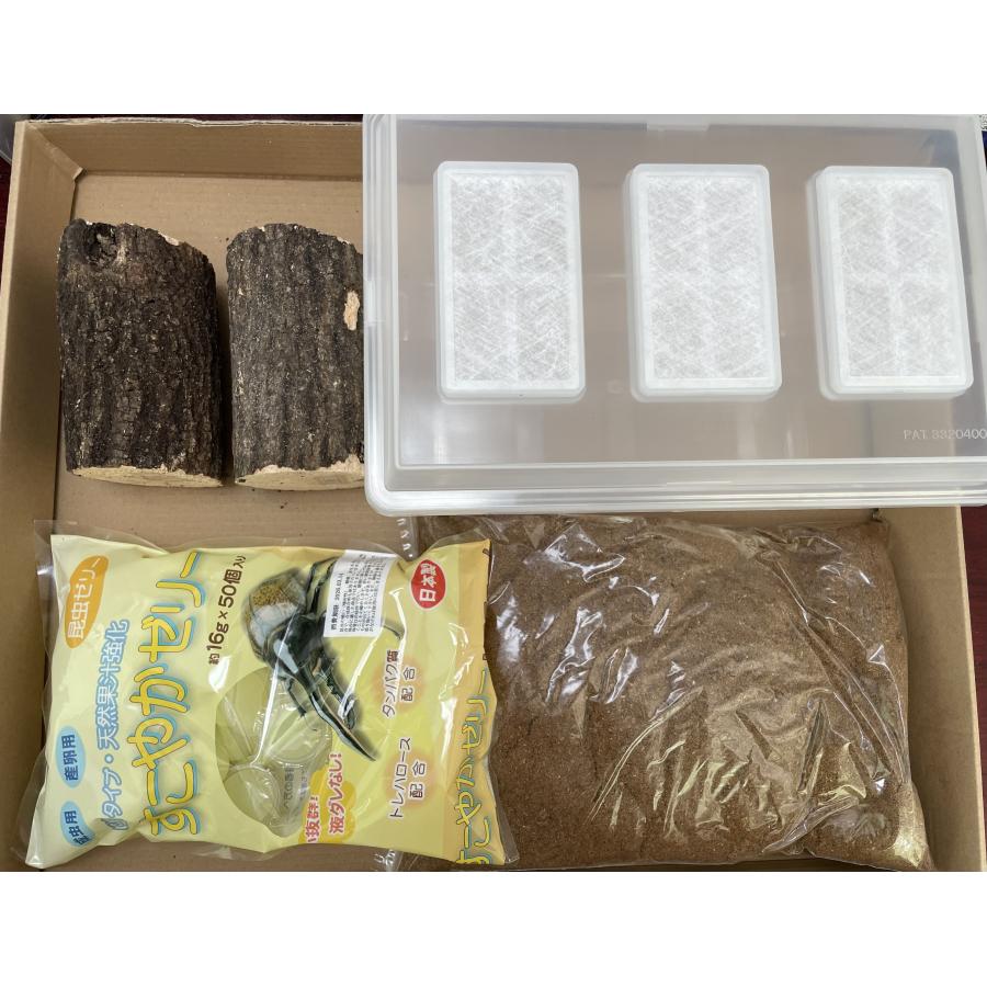 クワガタ 産卵材 1箱30本前後入り 9箱セット 約1本@90円