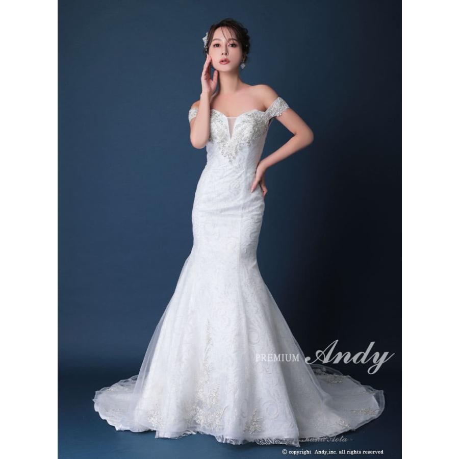 andy-ld-anw009