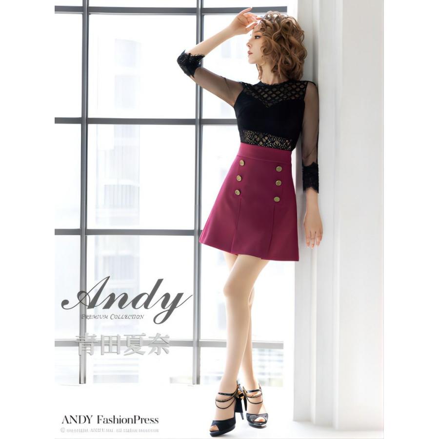 取り寄せ商品】Andy アンディ シアーレース バイカラー 七分袖 フレア  