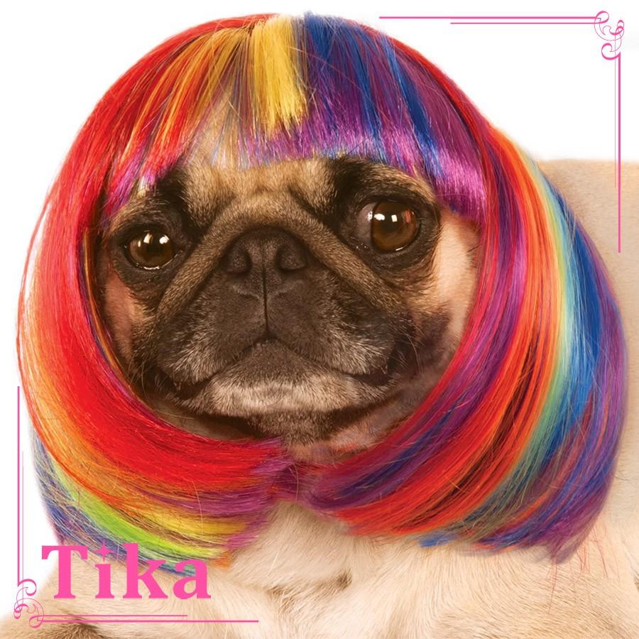 ペット コスプレ 犬用 Tika ティカ レインボーカラー ウィッグ ドッグコスチューム 犬用衣装 かわいいペット衣装 通販 激安 格安 La Hwp Tika ヤフーショッピング店 通販 Yahoo ショッピング