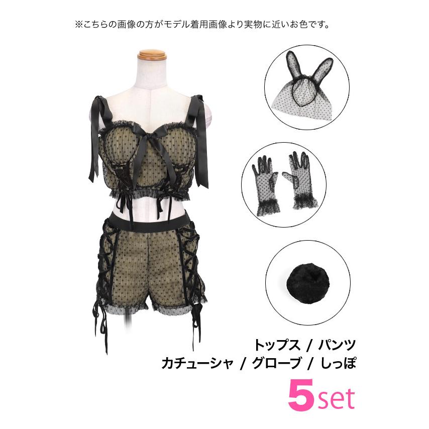 コスプレ バニーガール仮装 男ウケ コスプレ シアー ドットチュール へそ出し レースアップリボン 5点セット