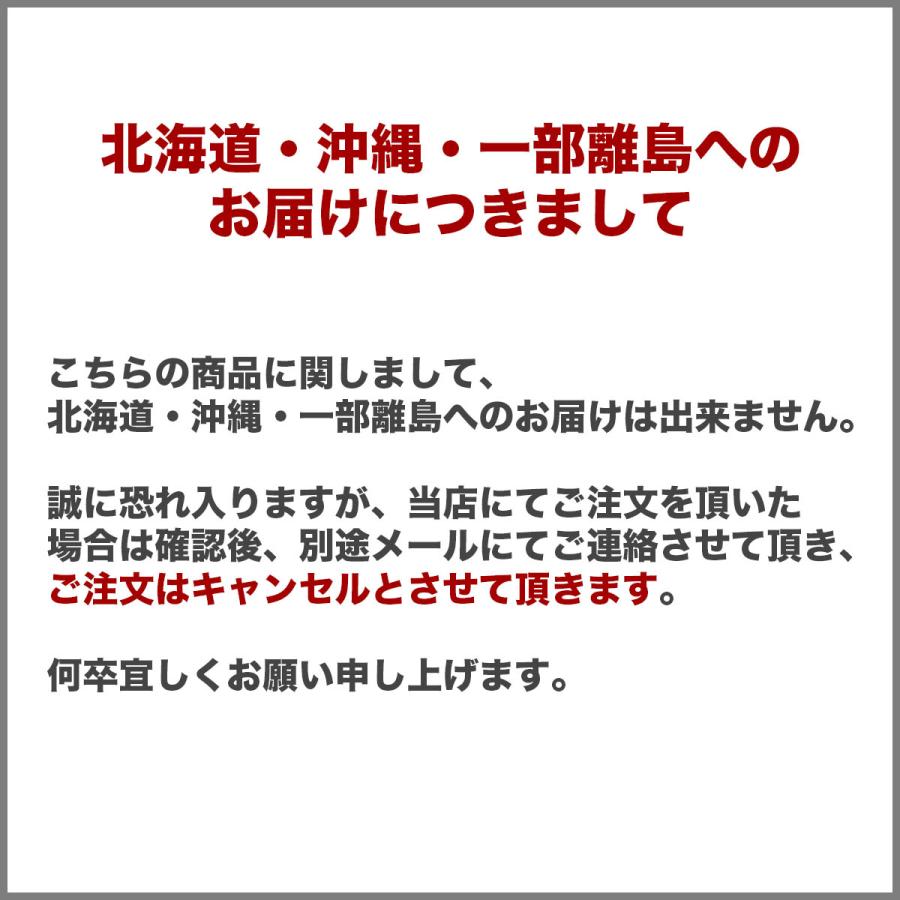 耐火レンガ JIS並形半平 １ケース（10個入）サイズ(約)23×11.4×3〜3.5cm重さ約1.8kg｜tileshop｜04