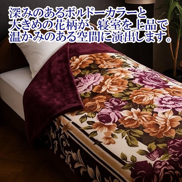 リードカキノ 掛け布団カバー シングル 2枚組 洗える あったか 毛布