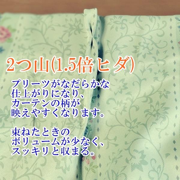 リードカキノ 遮光 カーテン 2枚組 幅100×丈185cm 洗える ドレープ