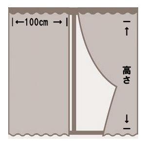 プリント カーテン 2枚組 幅100×丈200cm 洗える おしゃれ 華やか 明るい ローズ柄 タッセル付 アジャスターフック｜time-and-place｜11