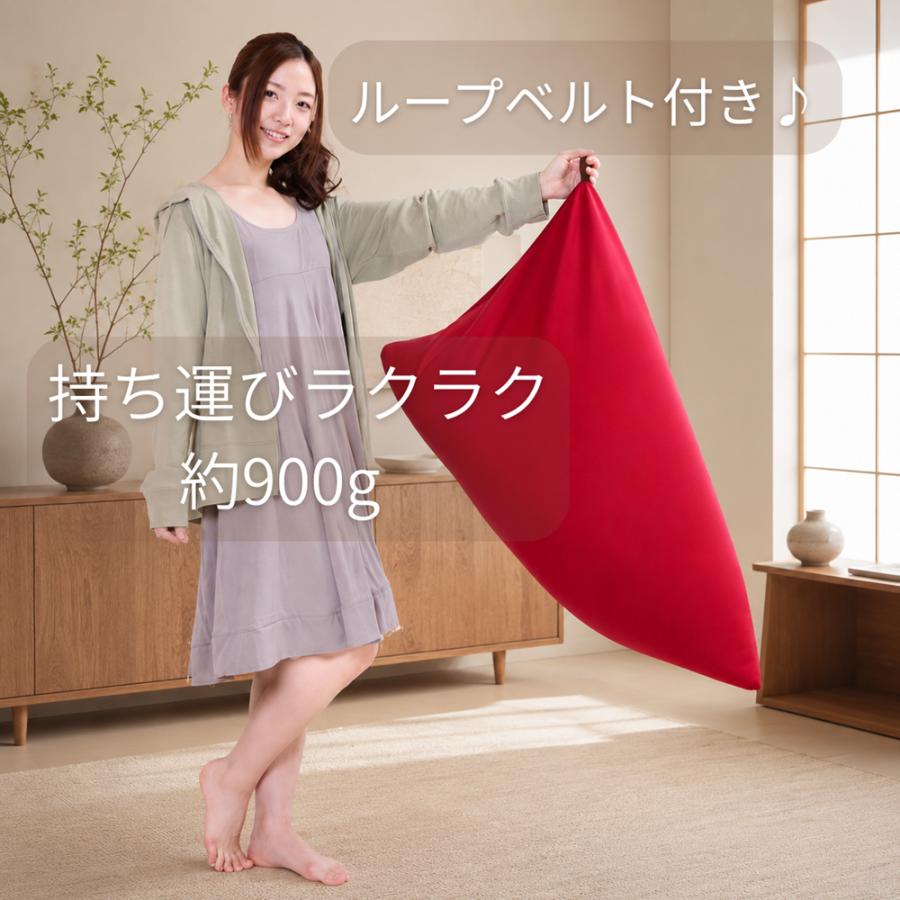リードカキノ ビーズクッション 日本製 三角 座椅子 デルタ 背もたれ