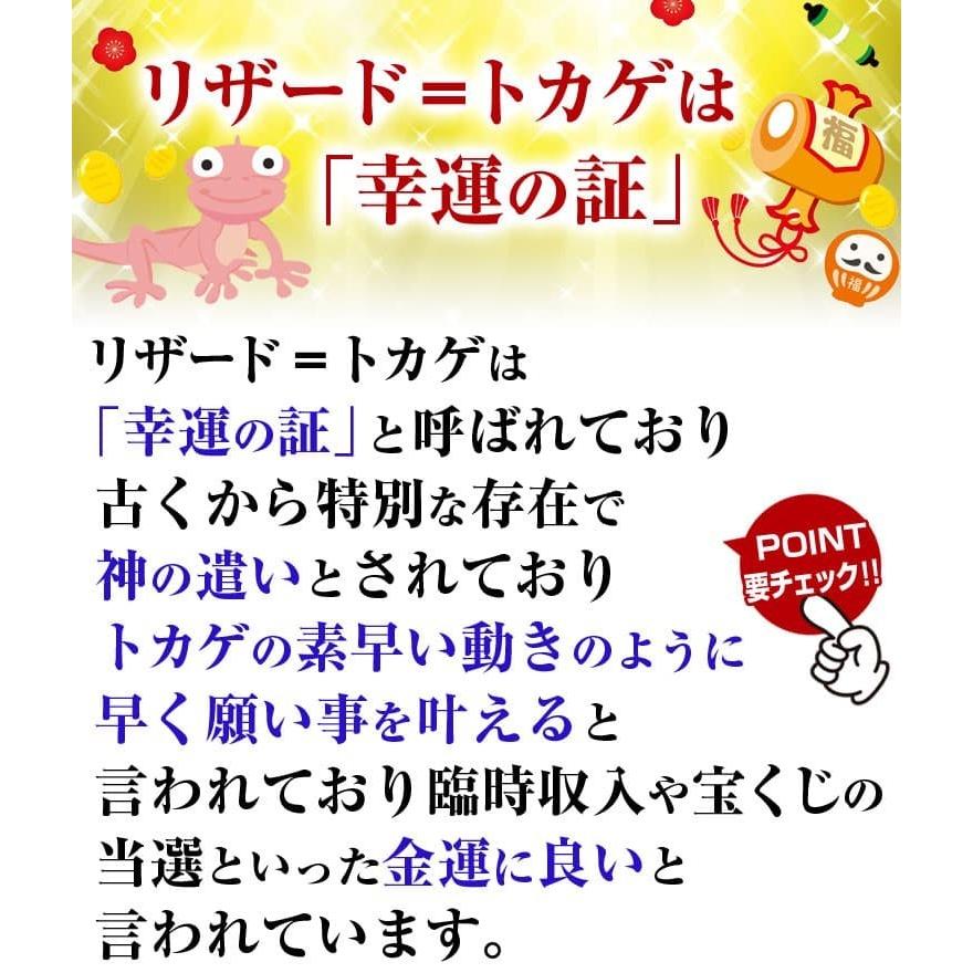 最高級品質の姫路レザー ラウンドファスナー 長財布 リザード国内なめし加工 メンズ レディース 財布 小銭入れマチつきの画像