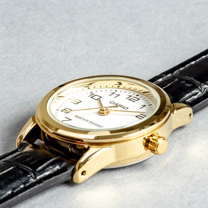 スタンダード（CASIO） 並行輸入品 10年保証 日本未発売 CASIO