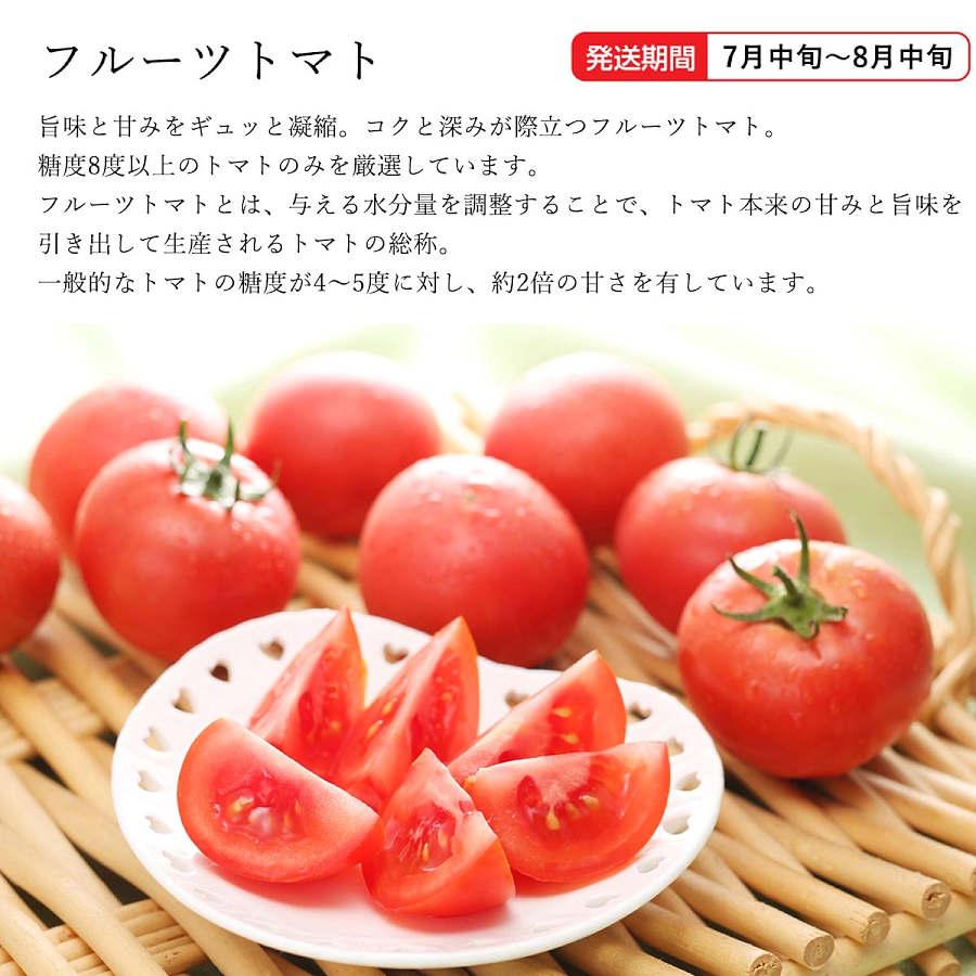 3年保証』 フルーツトマト はるかエイト 約800g 12〜15個 北海道産<br> フルーツトマト 北海道産 はるかエイト 約800g 12〜15個