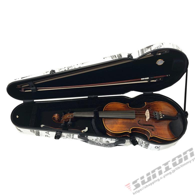 VIOLA CASE ビオラケース 楽器 弦楽器 カーボンファイバー製 軽量 堅牢