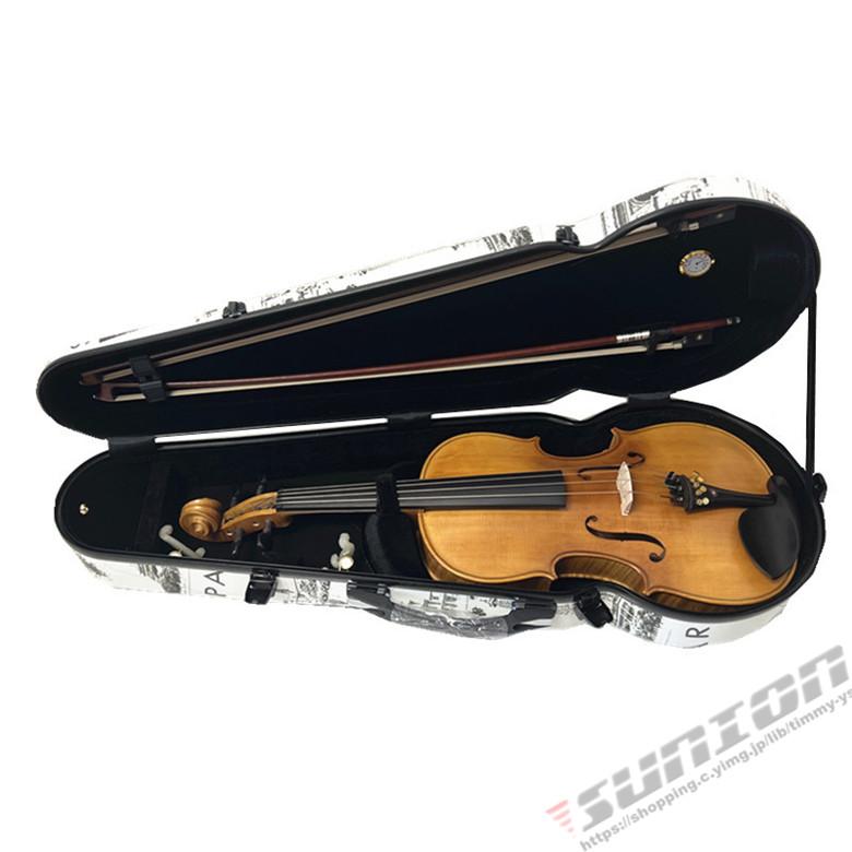 VIOLA CASE ビオラケース 楽器 弦楽器 カーボンファイバー製 軽量 堅牢