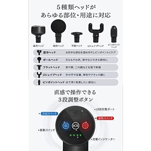 STEADY 温冷ハンディガンR 【 Designed in Japan 温度調整 (6〜42℃) / 3段階 パワフル振動/静音 / 5種類ヘッド 　 冷やし