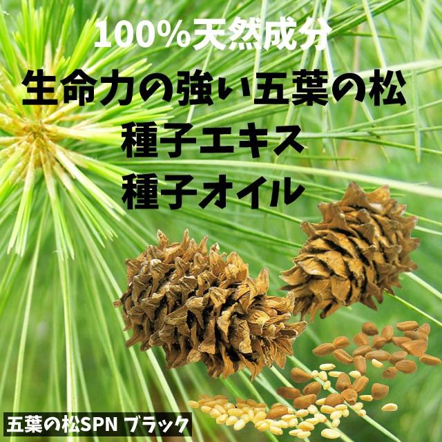 バリアフーズ 五葉の松SPN ブラック 90粒 松種子エキス 松の実オイル