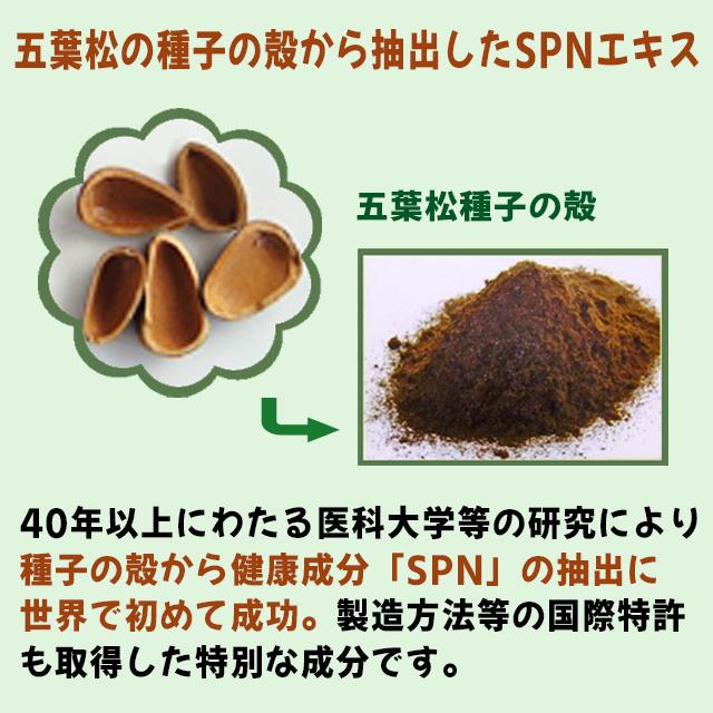バリアフーズ 五葉の松SPN ブラック 90粒 松種子エキス 松の実オイル