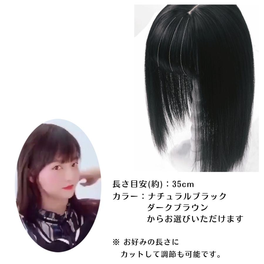 前髪ウィッグ 部分 ポイントウィッグ ストレート 黒 ブラック 茶