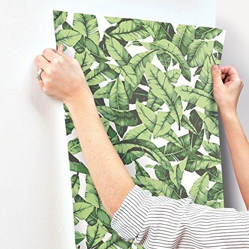 正規品 X 5 Wallpaper Stick And Peel Leaf Palm Tropical Roommates 16 5 Gree Feet ウォールステッカー Mgahop Com Br