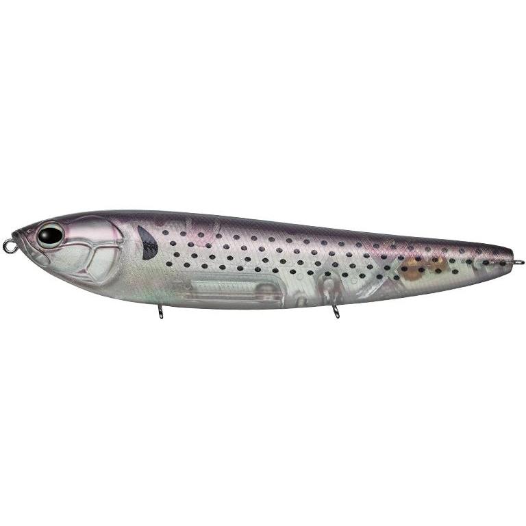 アマゾン エバーグリーン フラッシュコノシロ | EverGreen