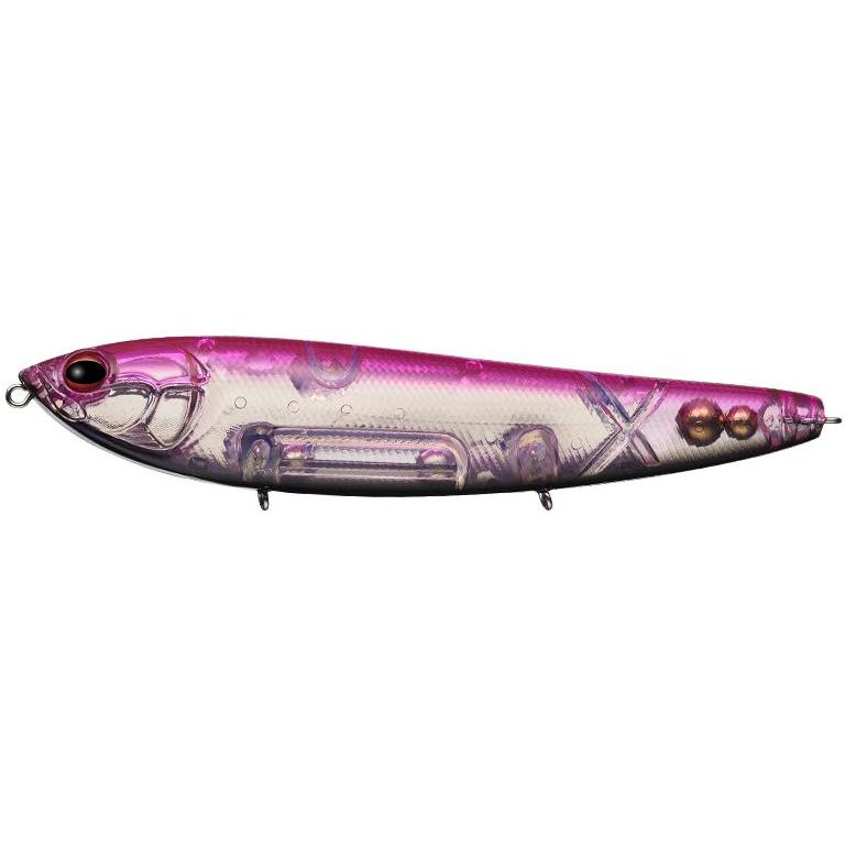 アマゾン ピンクバックブラックベリーフラッシュ エバーグリーン | EverGreen