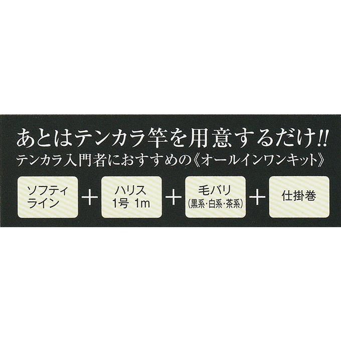 フジノ テンカラ スターターキット ソフティライン 毛針付き 3.6m