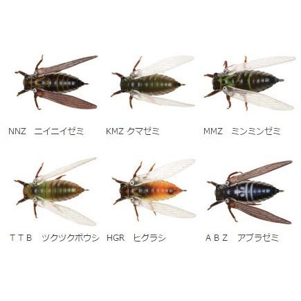 生蝉 ジャクソン Jqnamazemi Tipsヤフーショッピング店 通販 Yahoo ショッピング