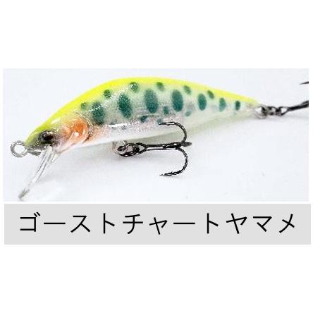 RayTune（レイチューン） TX50RSS 2025年NEWカラー : TIPSヤフー