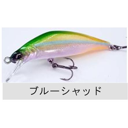 RayTune（レイチューン） TX50RSS 2025年NEWカラー : TIPSヤフー