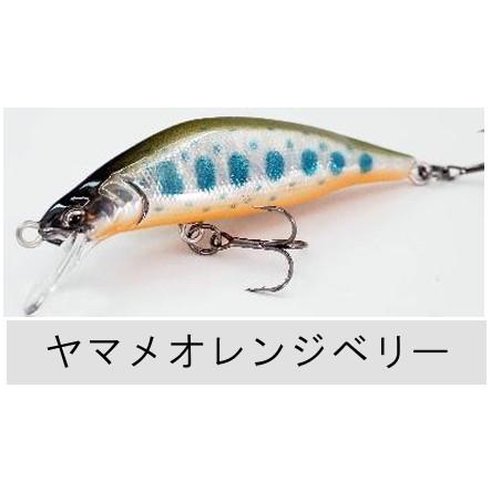 RayTune（レイチューン） TX50RSS 2025年NEWカラー : TIPSヤフー