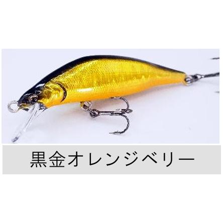 RayTune（レイチューン） TX50RSS 2025年NEWカラー : TIPSヤフー