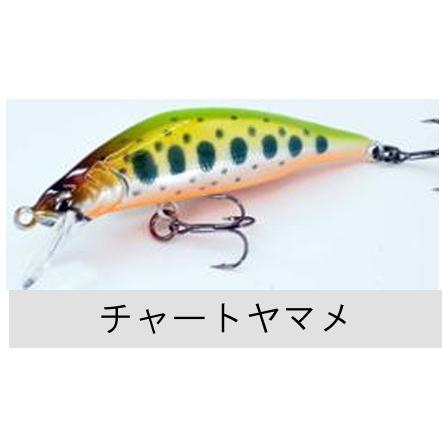 RayTune（レイチューン） TX50RSS 2025年NEWカラー : TIPSヤフー