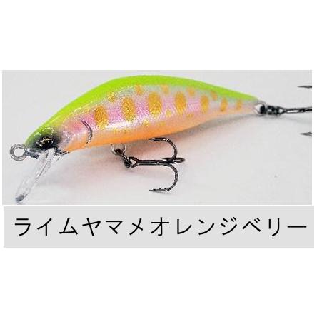 RayTune（レイチューン） TX50RSS 2025年NEWカラー : TIPSヤフー