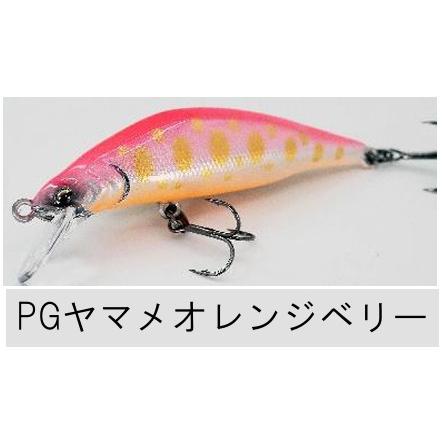 RayTune（レイチューン） TX50RSS 2025年NEWカラー : TIPSヤフー