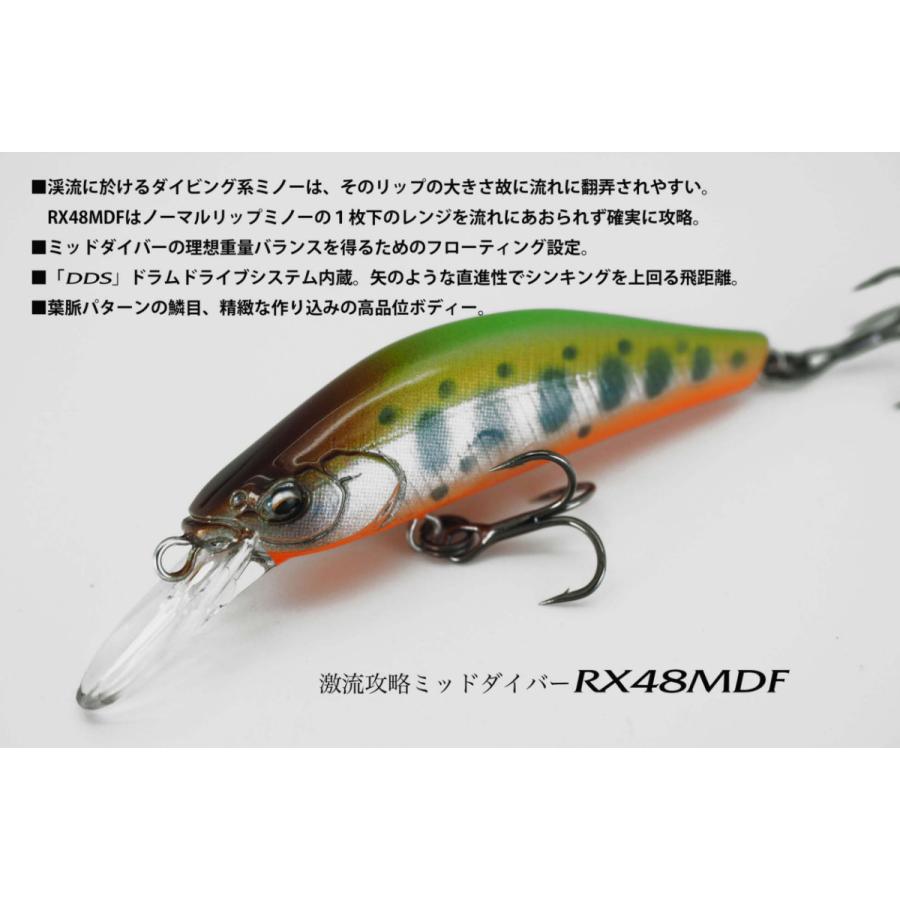 レイチューン RX48MDF 激流攻略ミッドダイバー クロキンオレンジベリー / ネコポス便 | RayTune | 01