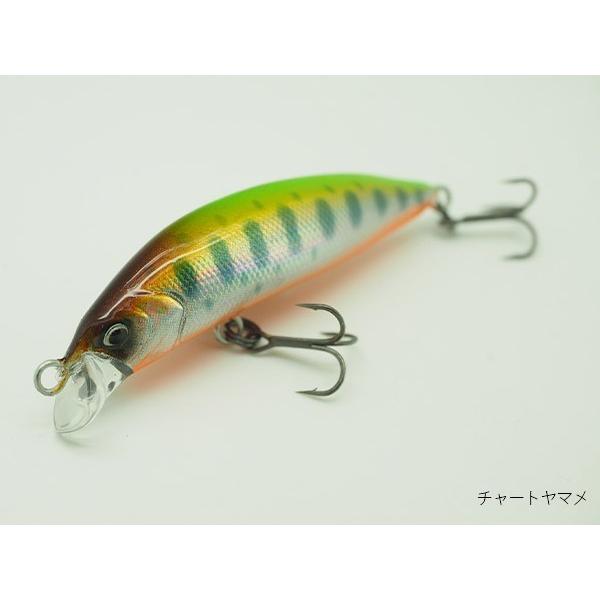 レイチューン SA50RS チャートヤマメ / ネコポス便 | RayTune