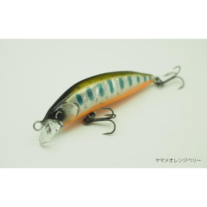 レイチューン　ヤマメオレンジベリー　ルビーアイ50フローティング RayTune（レイチューン） SA50RS ヤマメオレンジベリー / ネコポス便