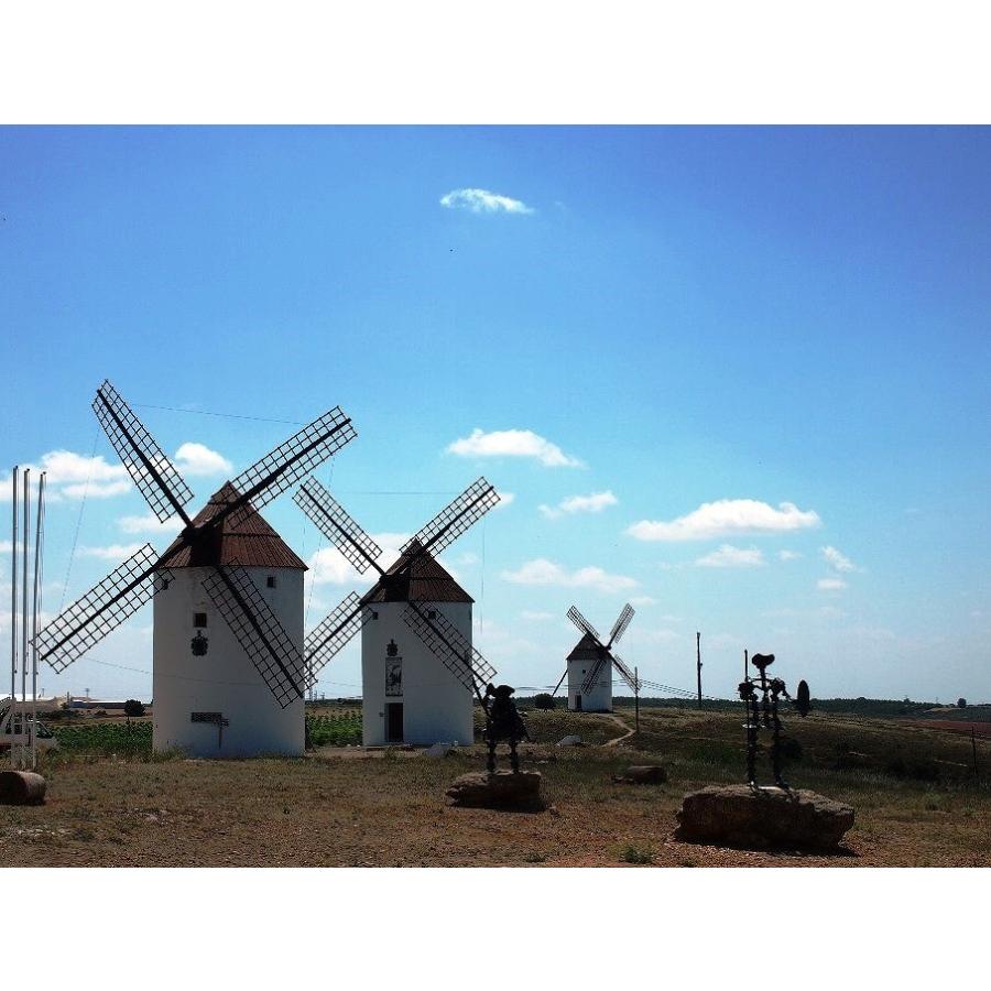 ラガスカ  ヴィオニエ 2023 LAGASCA／VIOGNIER |  | 04