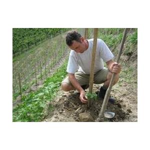 アンドレアス・ツェッペ  ブラワー・リベル（青トンボ）2022 ANDREAS TSCHEPPE Blue Libelle Blanc |  | 04