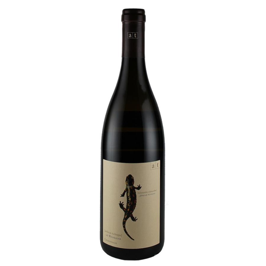 アンドレアス・ツエッペ　サラマンダー　（トカゲ）2019　ANDREAS TSCHEPPE | 