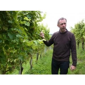 アンドレアス・ツエッペ　サラマンダー　（トカゲ）2019　ANDREAS TSCHEPPE |  | 05