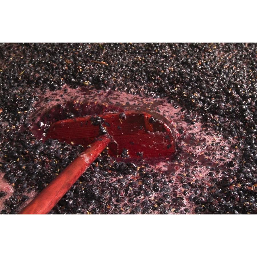 フランツ・シュトロマイヤー　ナミダ 2022／FRANZ STROHMEIER NAMIDA　2022 |  | 04