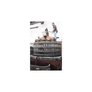 クリストフ・パカレ　ヴァン・ド・プリムール　2025/ CHRISTOPHE PACALET　VIN DE PRIMEUR　2025 |  | 04