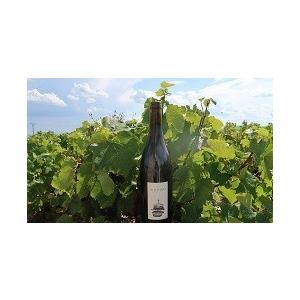 クリストフ・パカレ　ヴァン・ド・プリムール　2025/ CHRISTOPHE PACALET　VIN DE PRIMEUR　2025 |  | 06