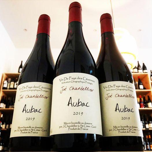 ジョエ・シャンドリエ　アリュヴィオン　2024／JOE CHANDELIER ALLUVIONS |  | 04